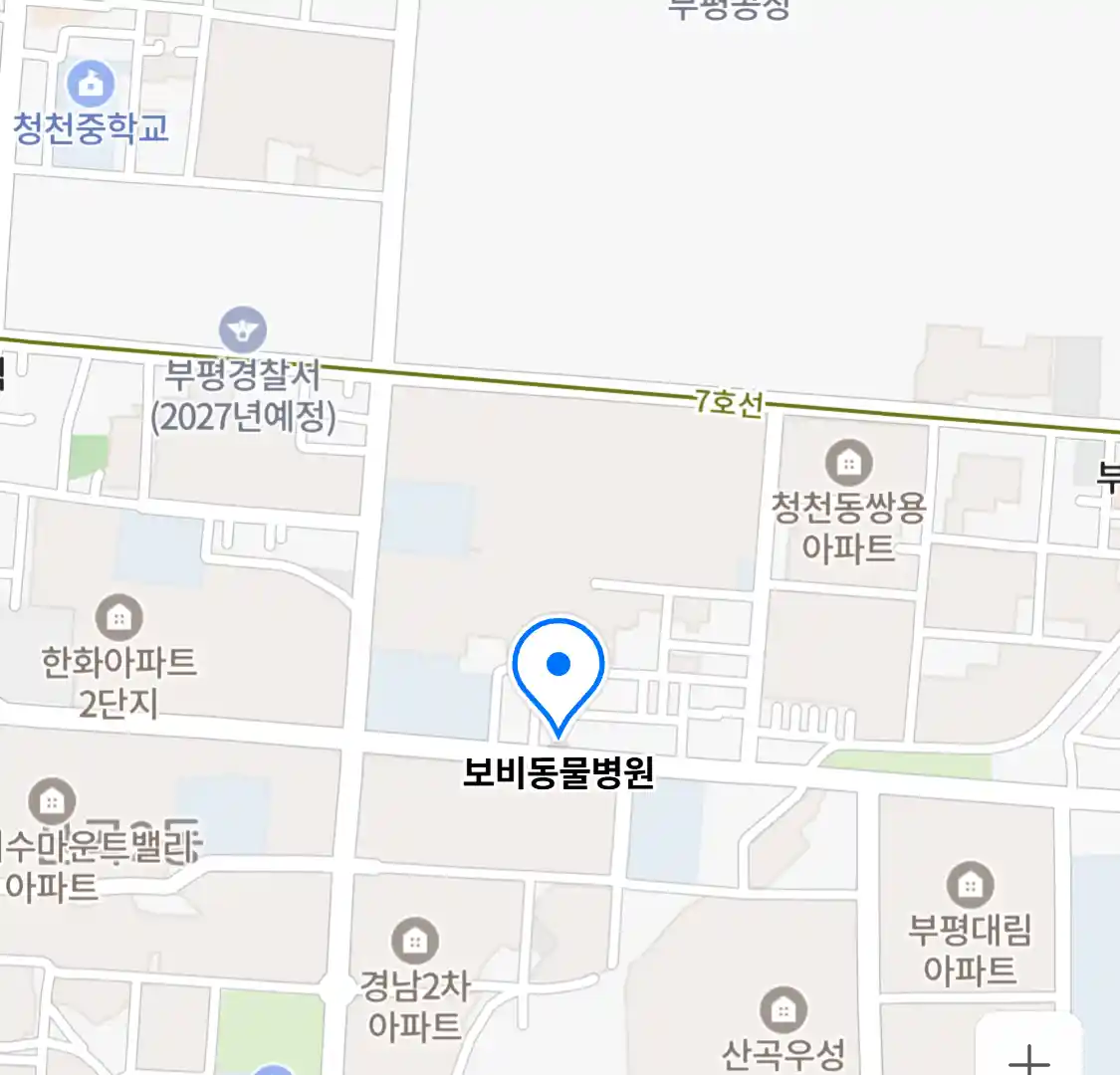 보비동물병원