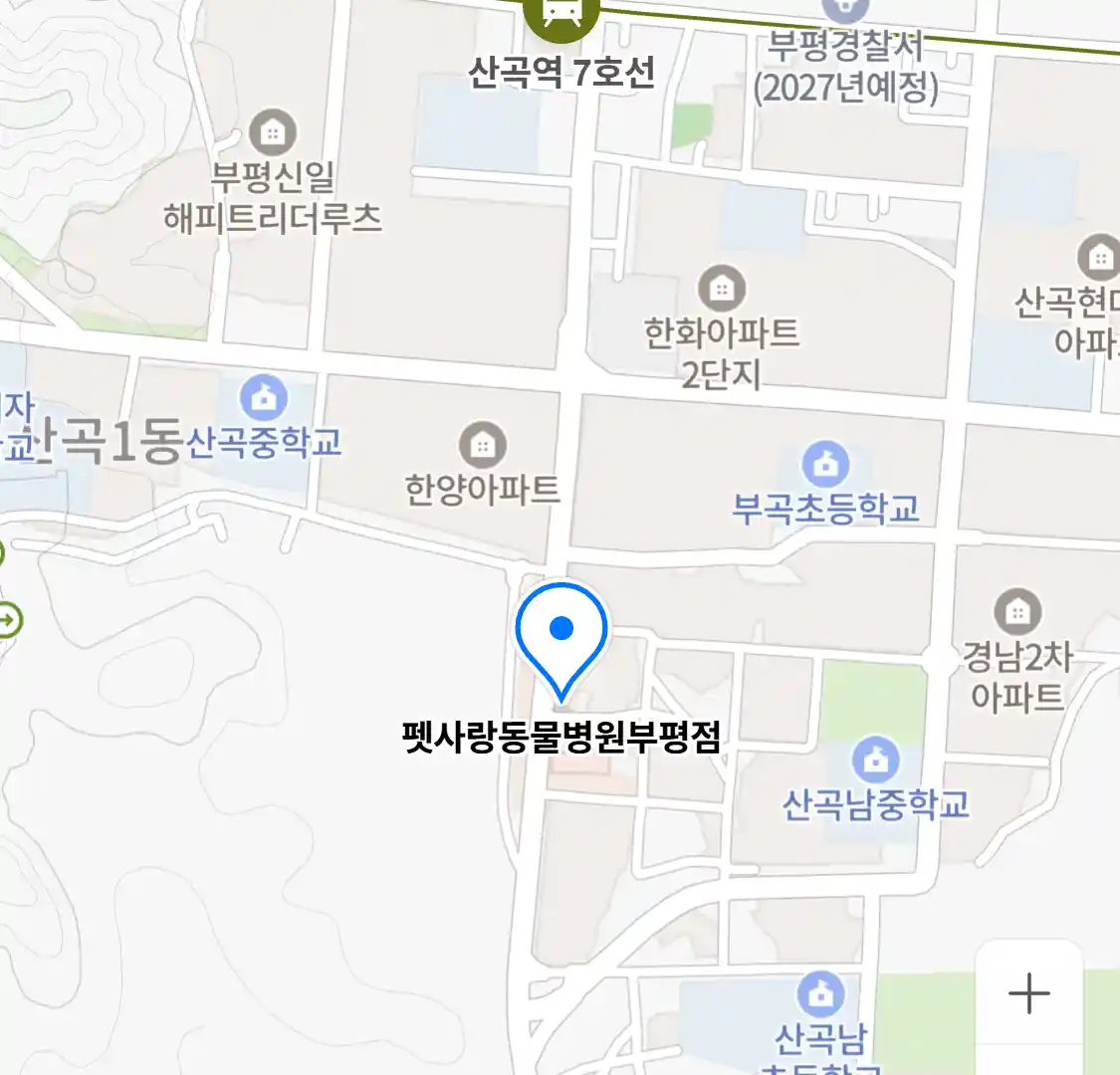 펫사랑동물병원부평점