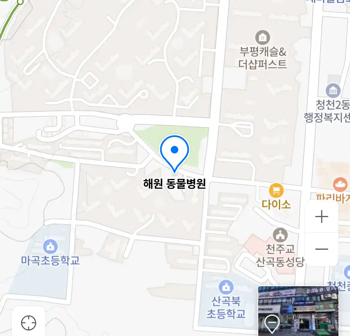해원 동물병원