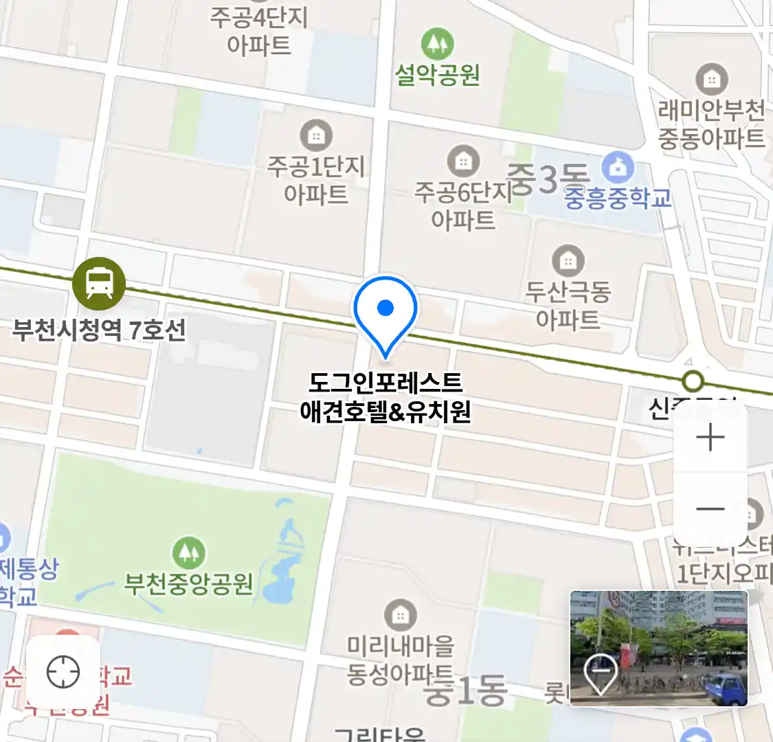 도그인포레스트 애견호텔유치원