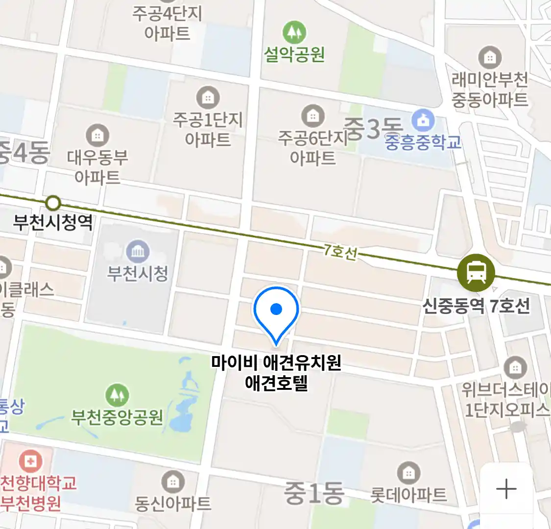 마이비 애견유치원 애견호텔