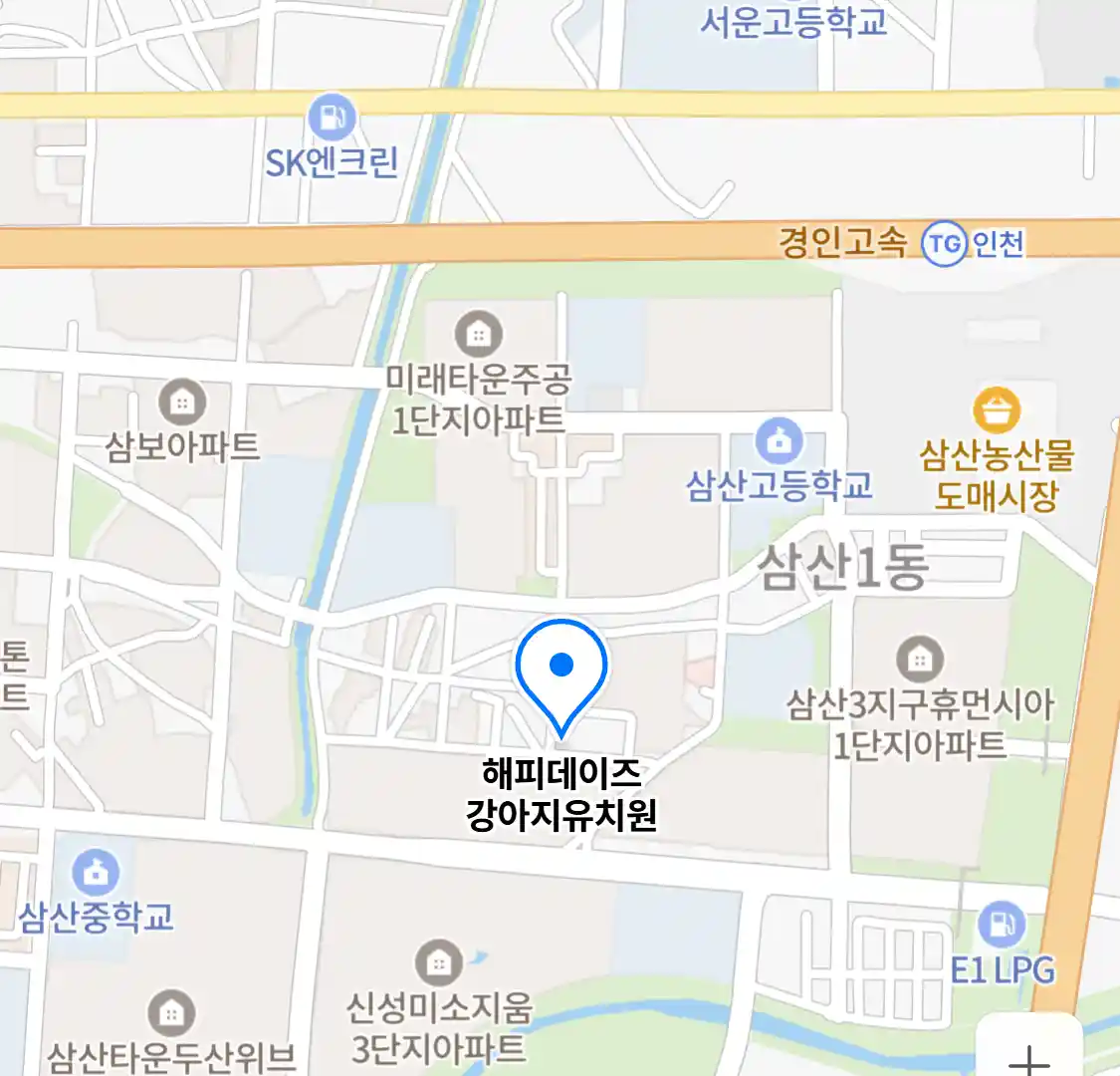 해피데이즈 강아지유치원
