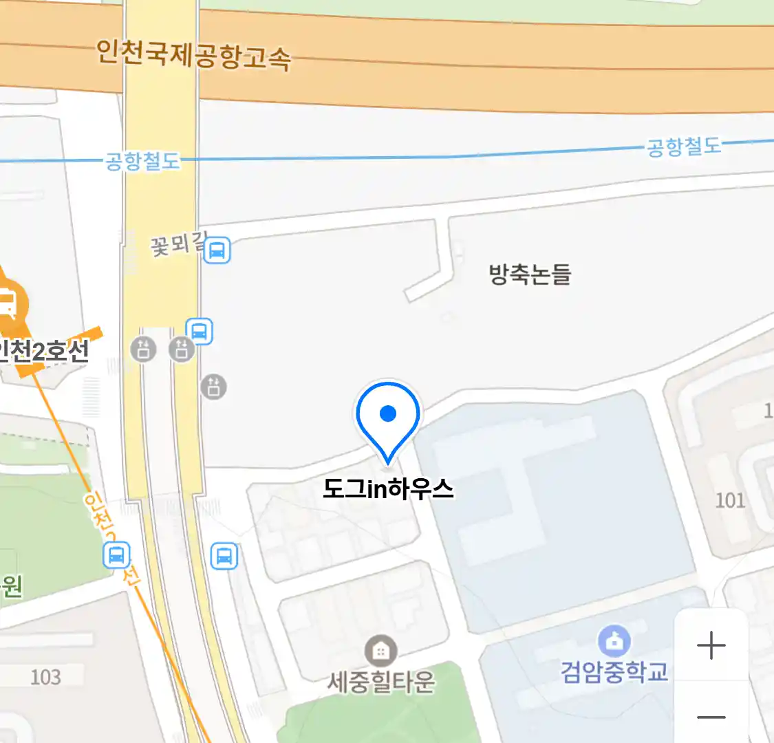 도그in하우스