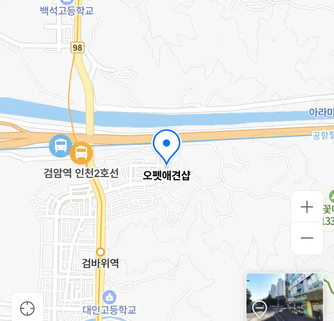 오펫애견샵