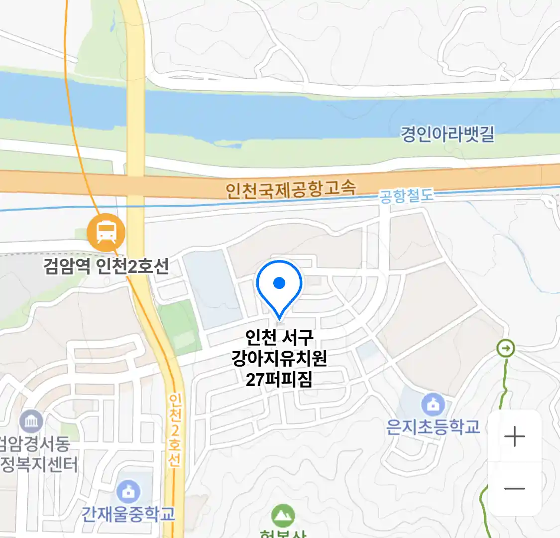 인천 서구 강아지유치원 27퍼피짐
