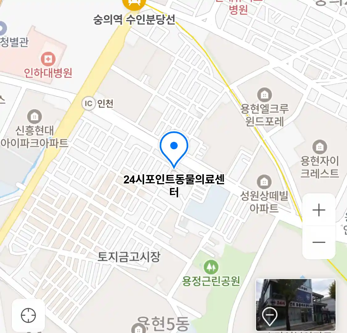 24시포인트동물의료센터