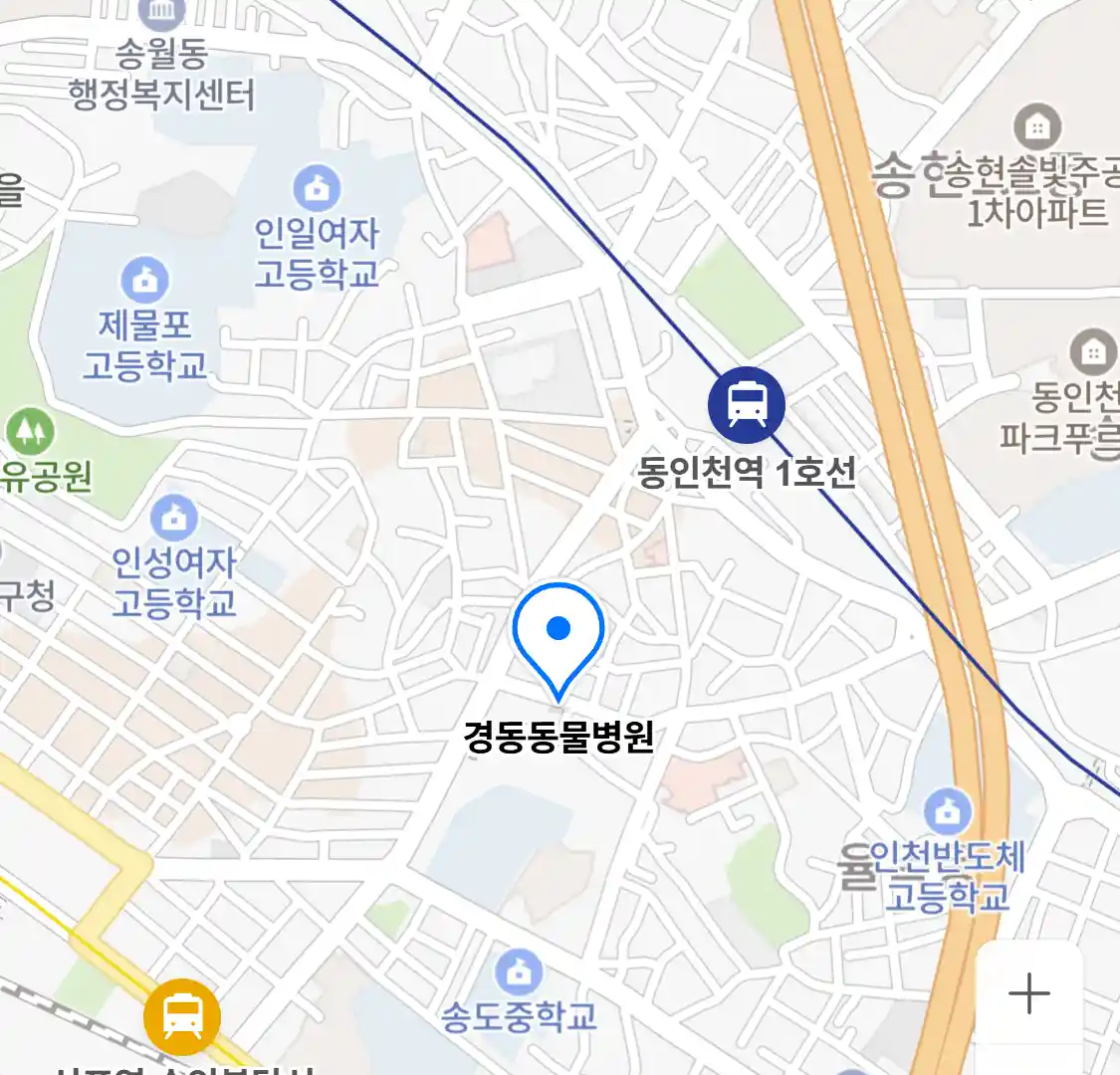 경동동물병원 지도
