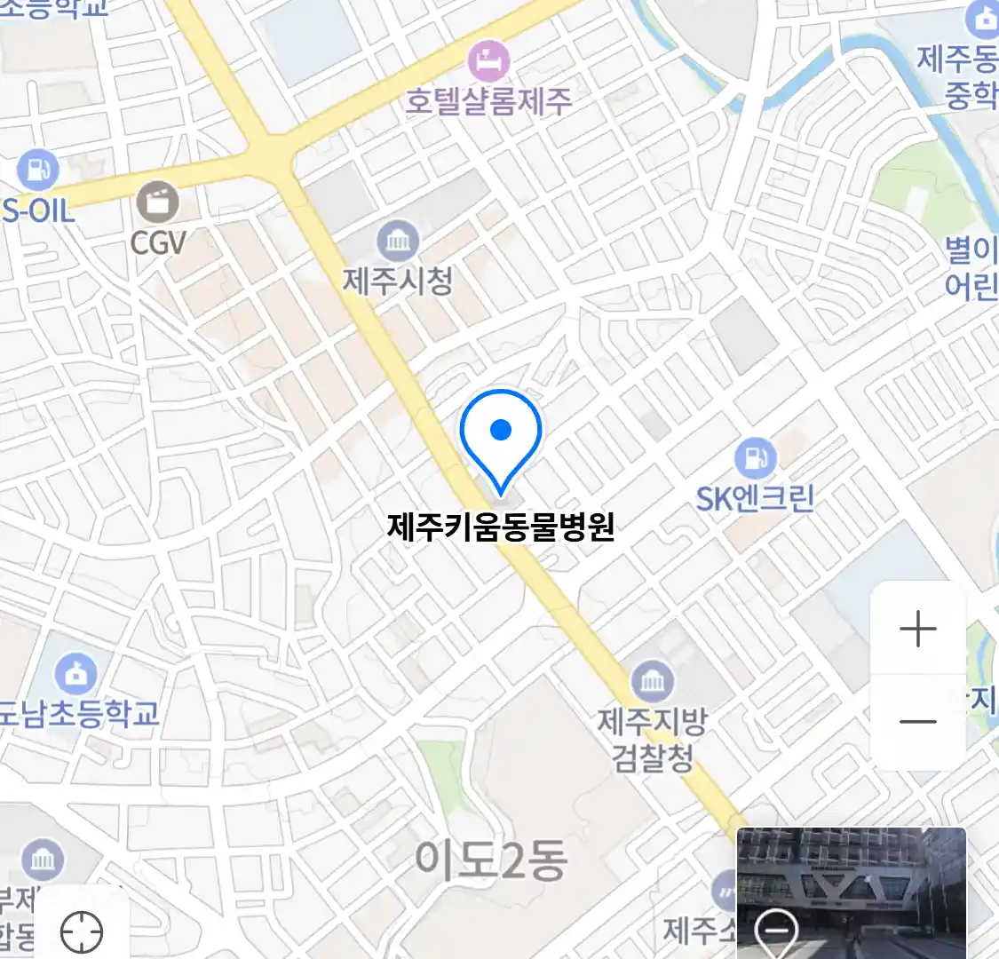 제주키움동물병원
