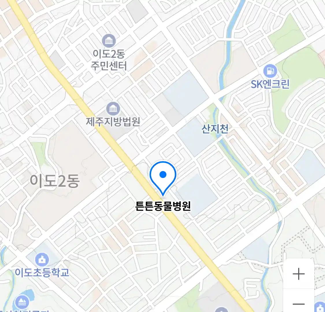 튼튼동물병원