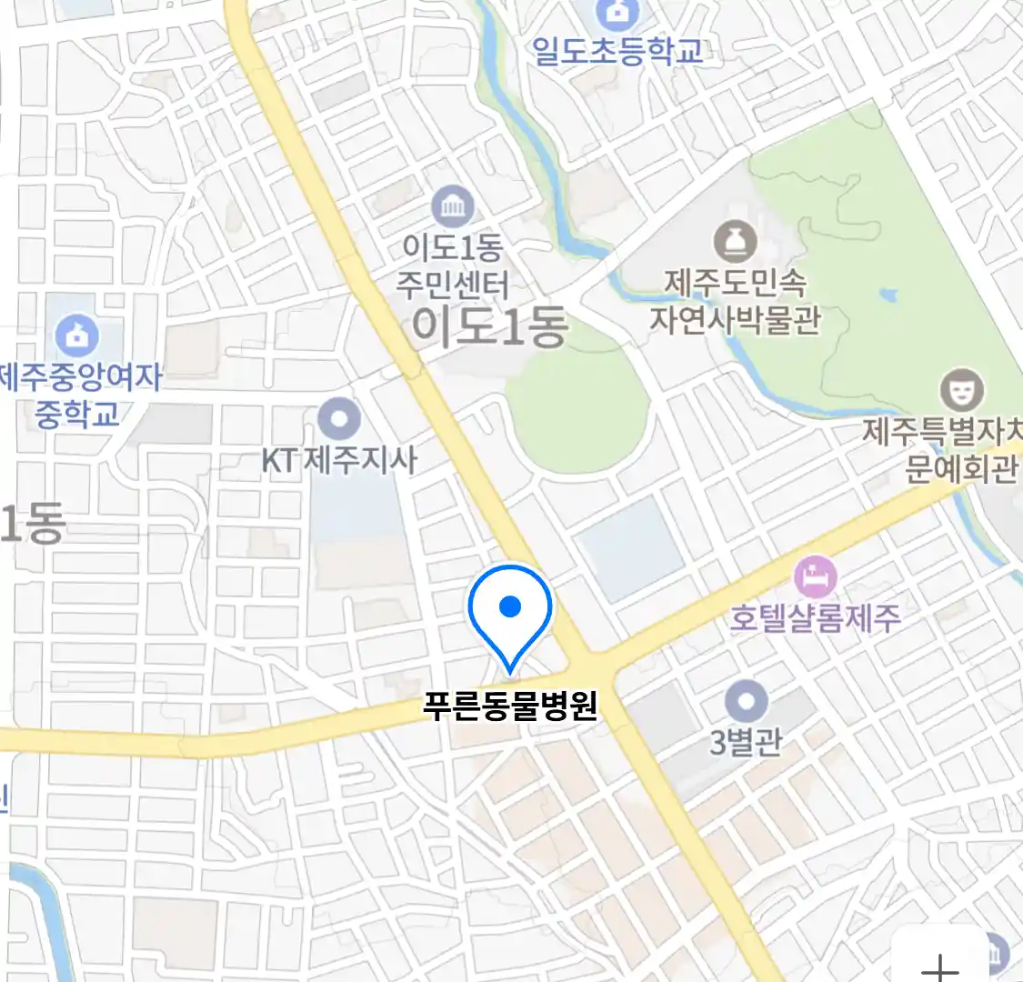 푸른동물병원
