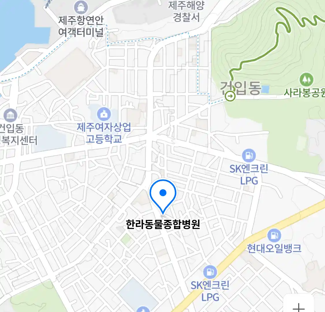 한라동물종합병원