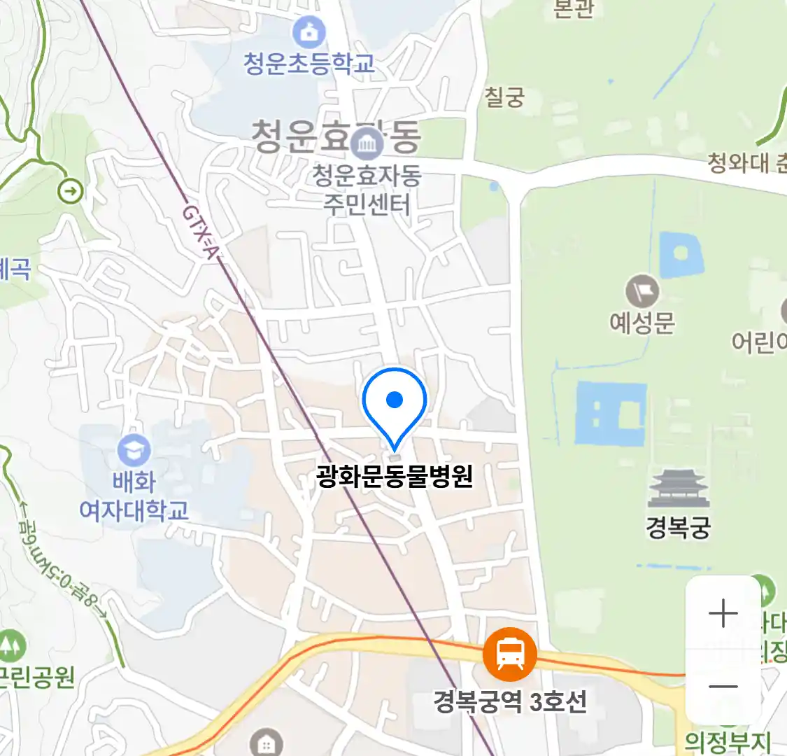 광화문동물병원