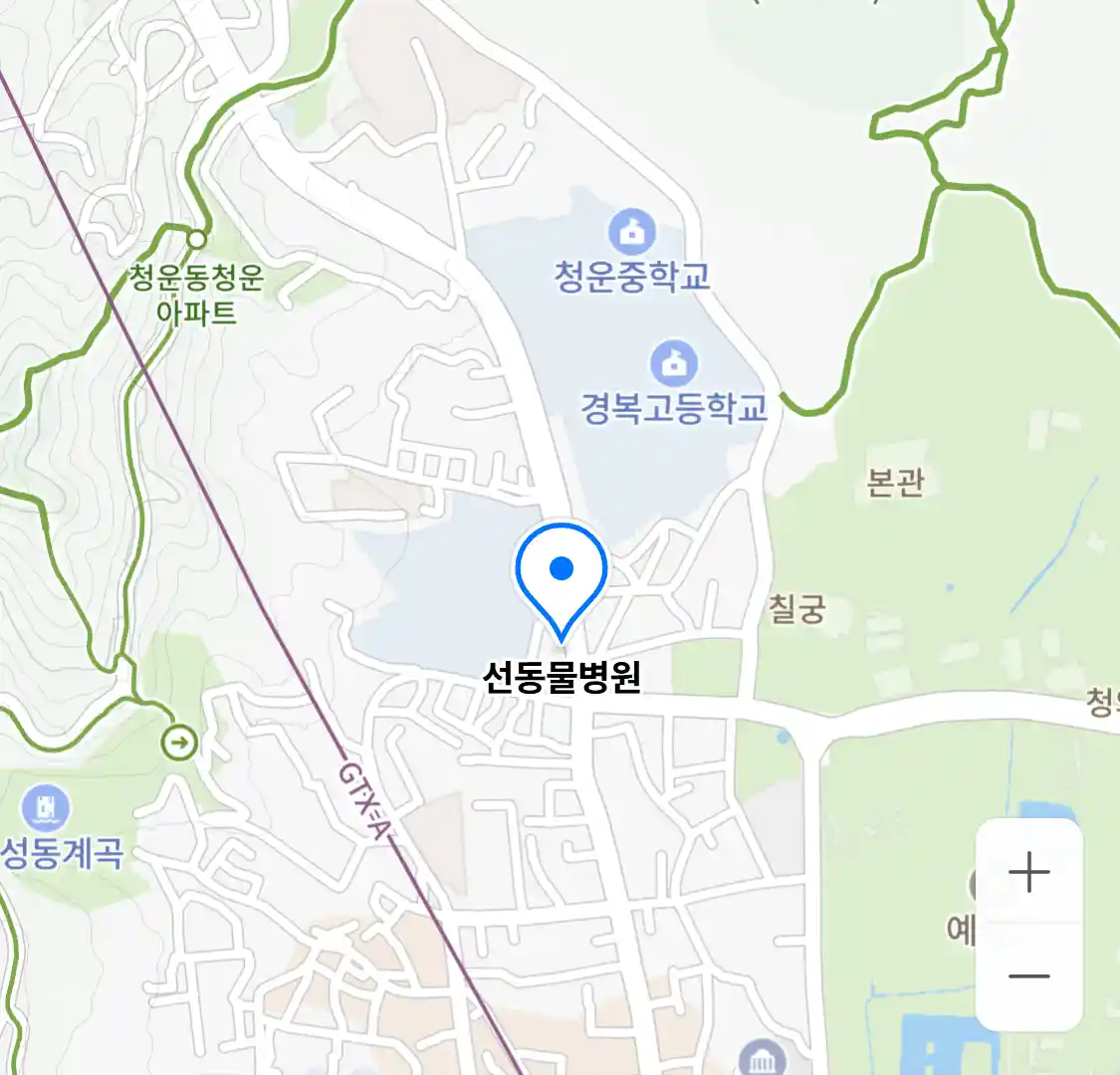 선동물병원