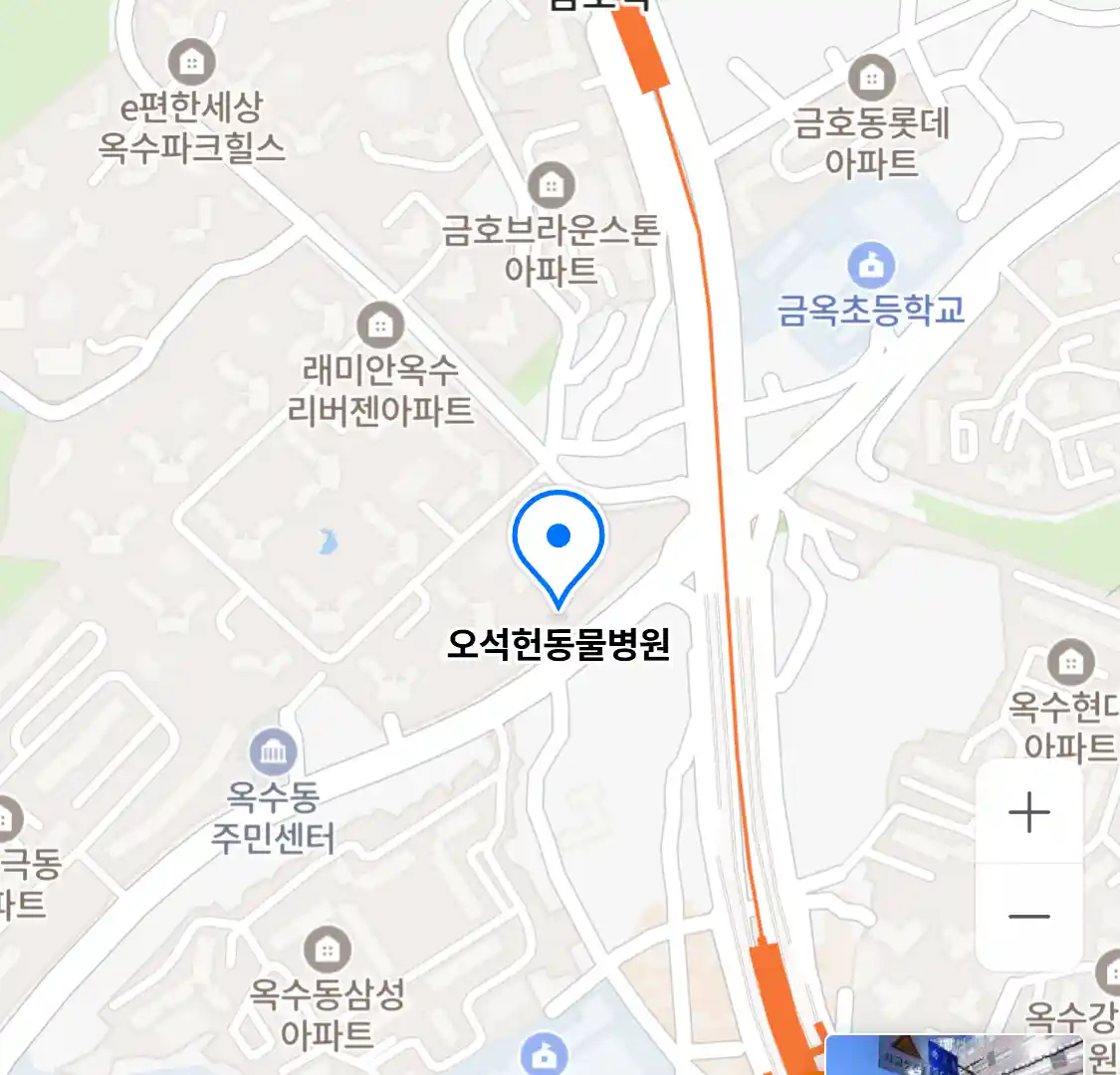 오석헌동물병원