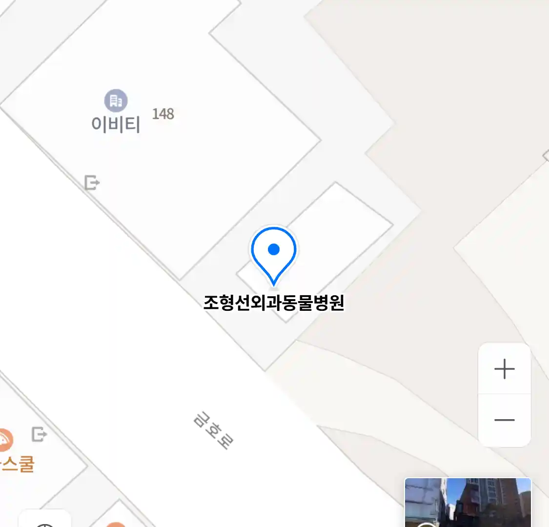 조형선외과동물병원