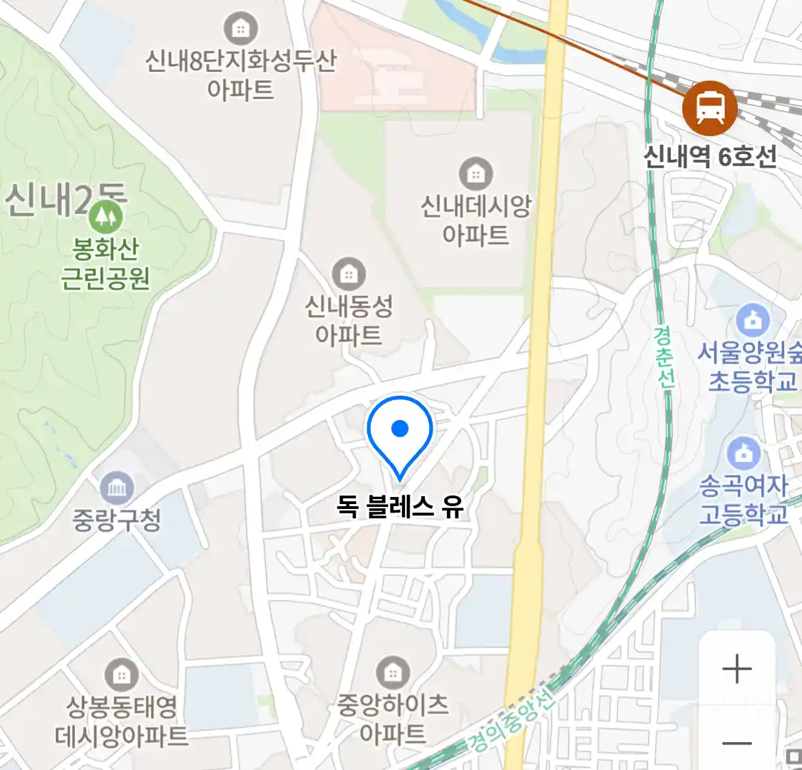 독 블레스 유
