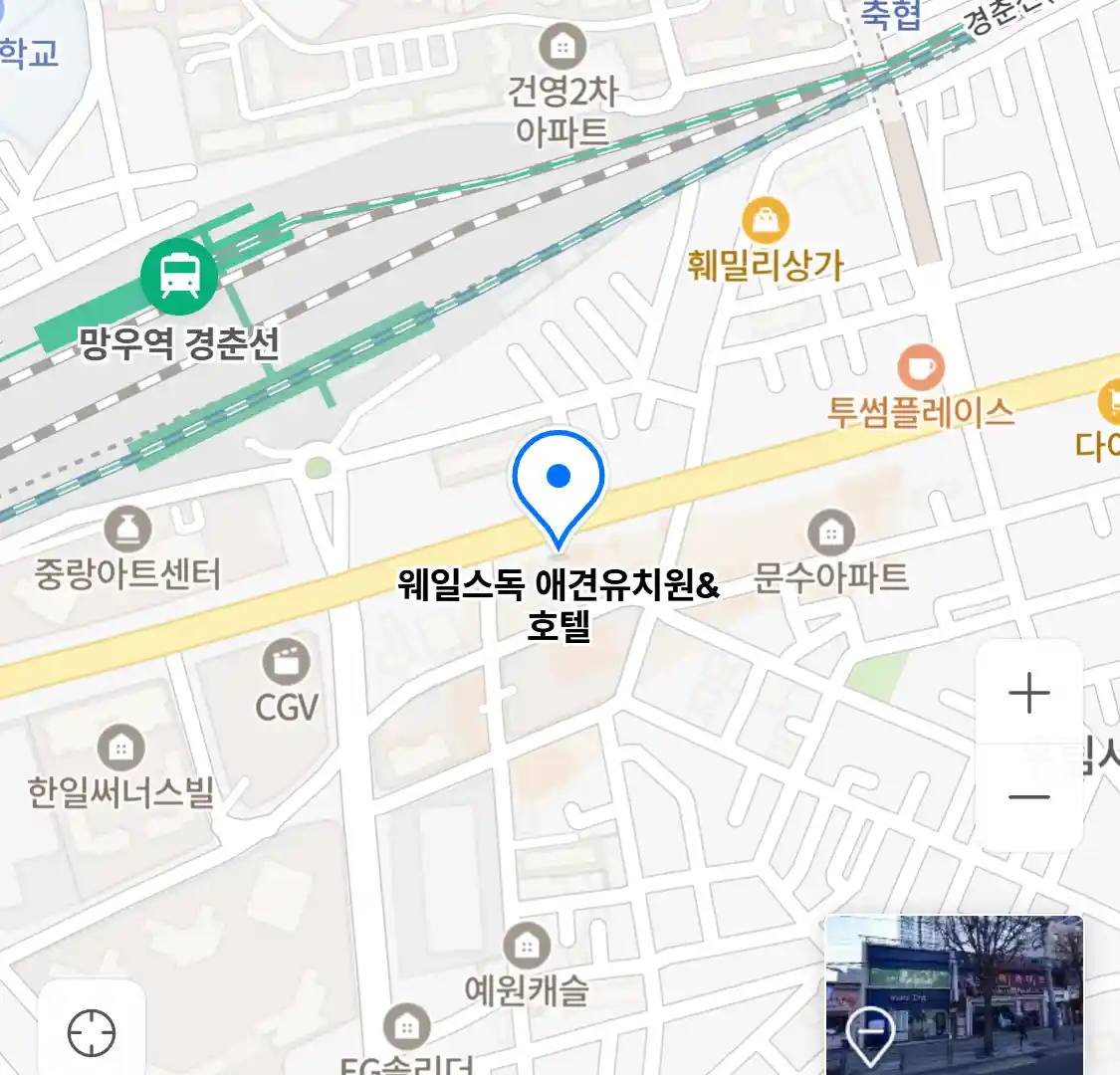 웨일스독 애견유치원&호텔