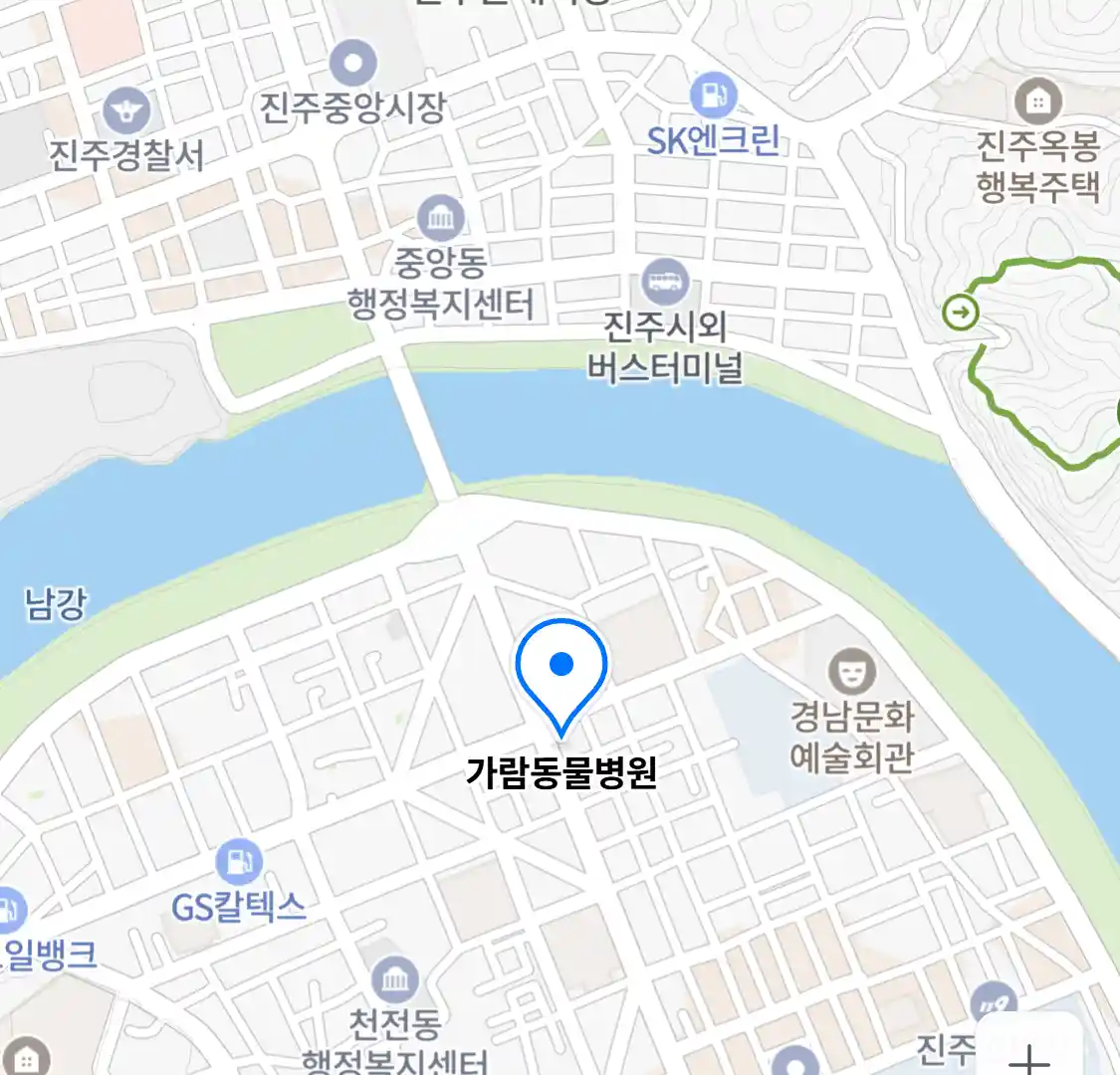 가람동물병원