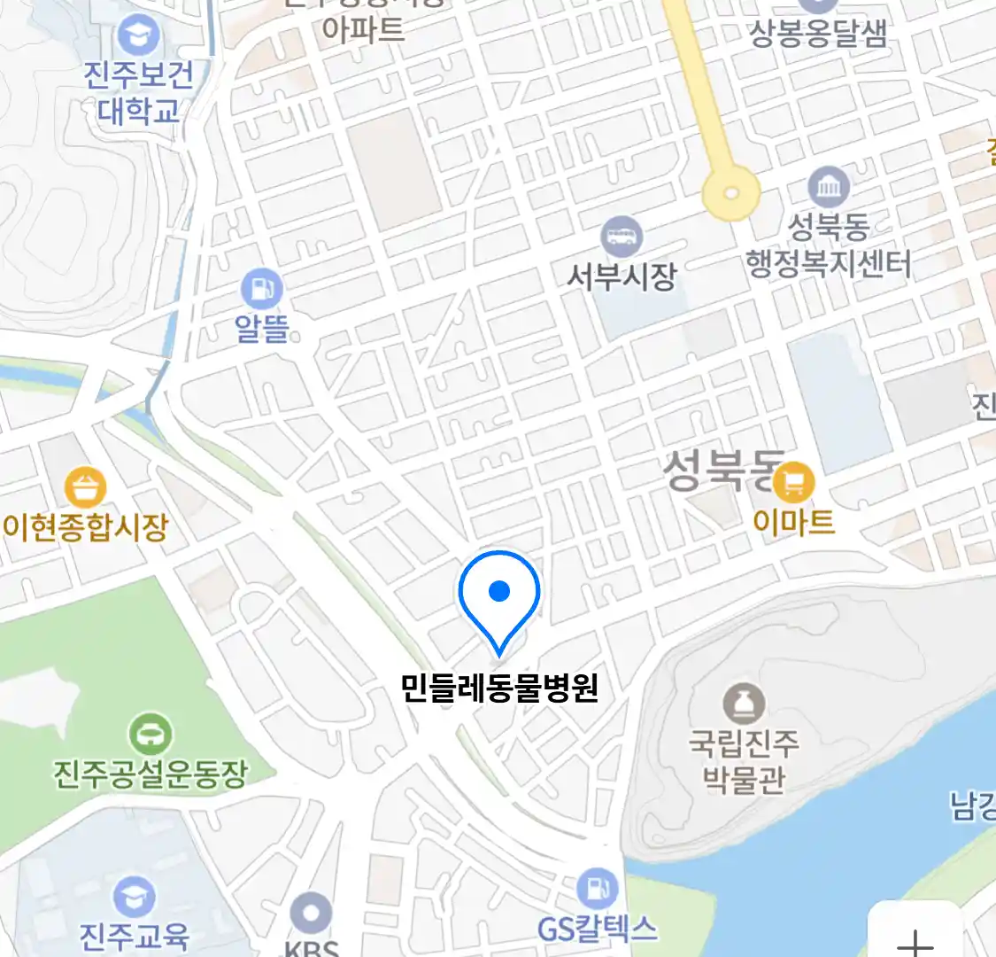 민들레동물병원