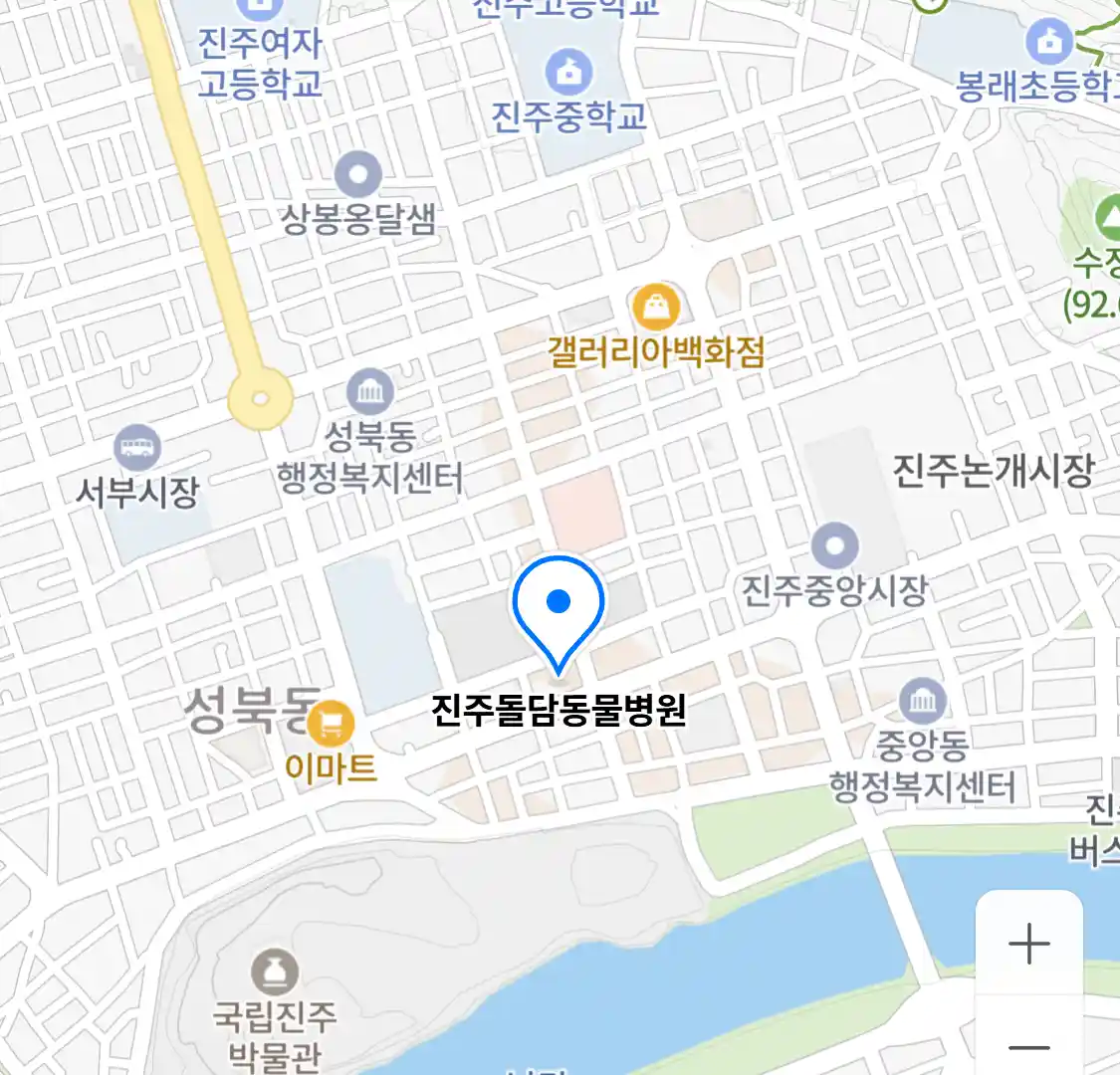 진주돌담동물병원