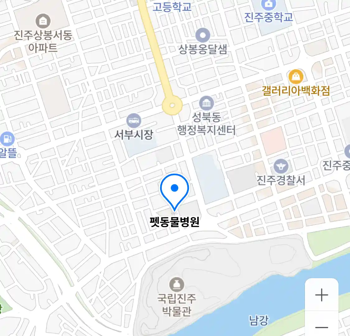 펫동물병원