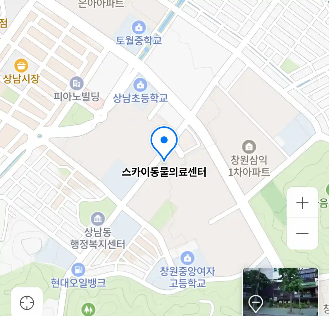스카이동물의료센터