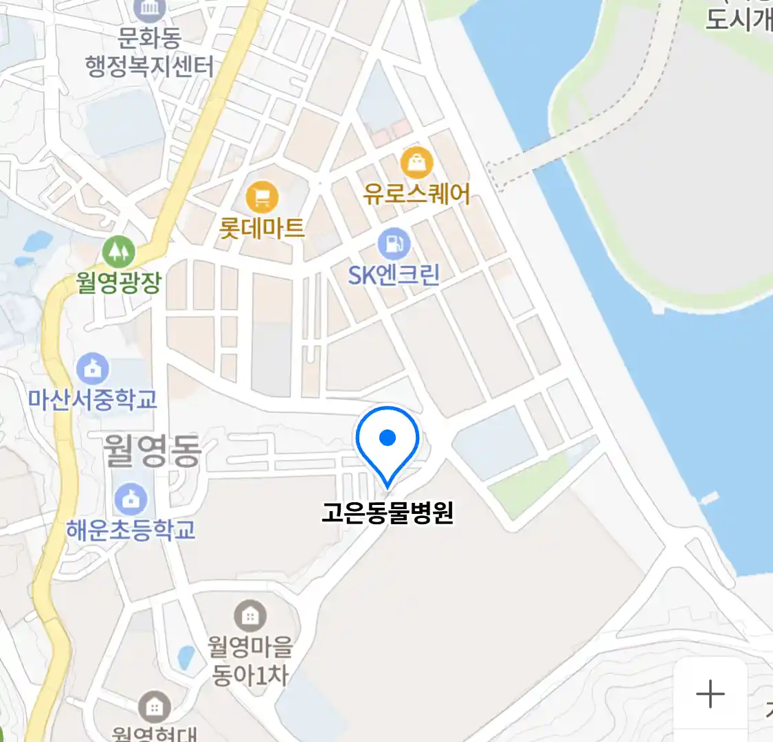 고은동물병원