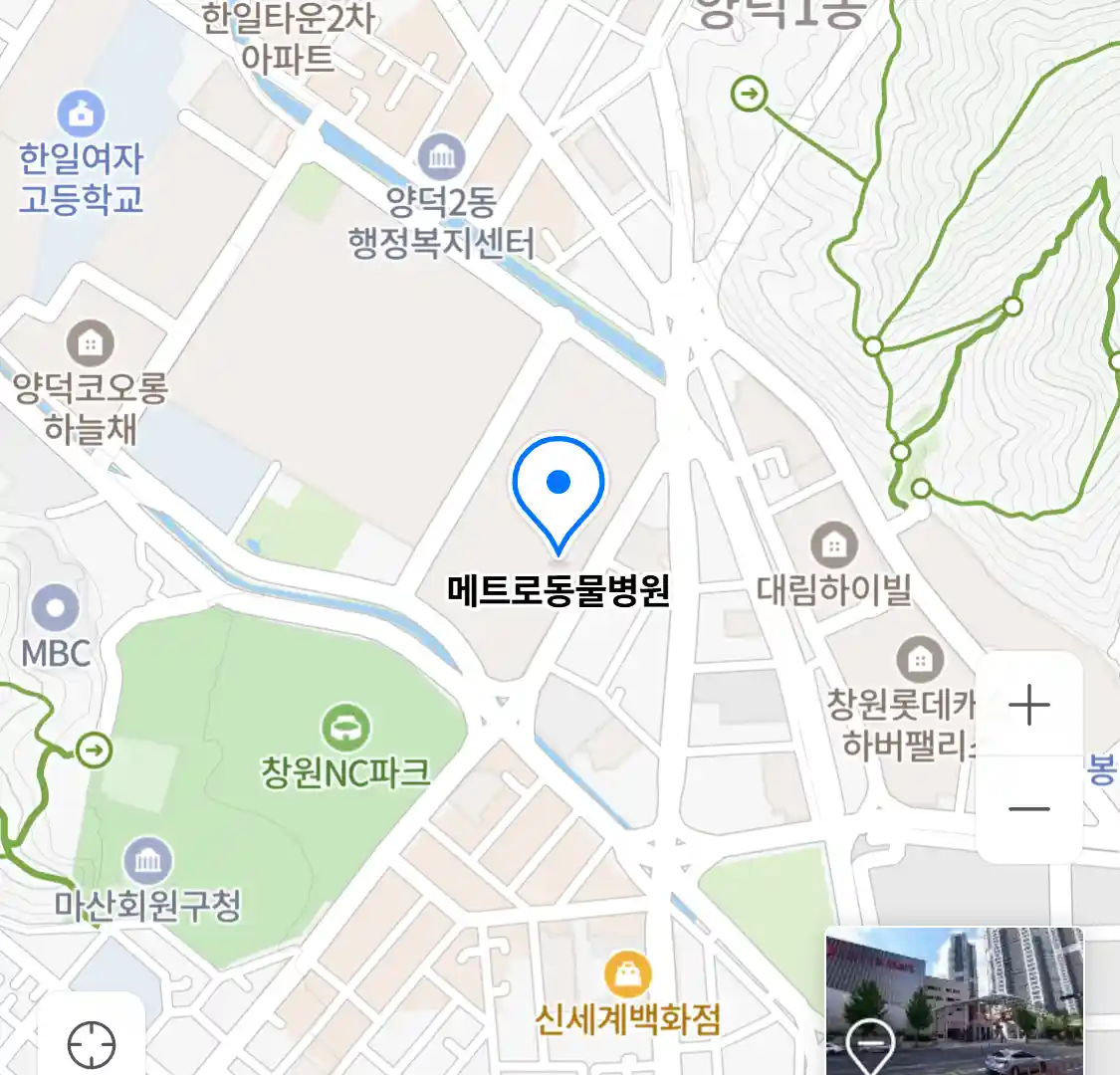 메트로동물병원