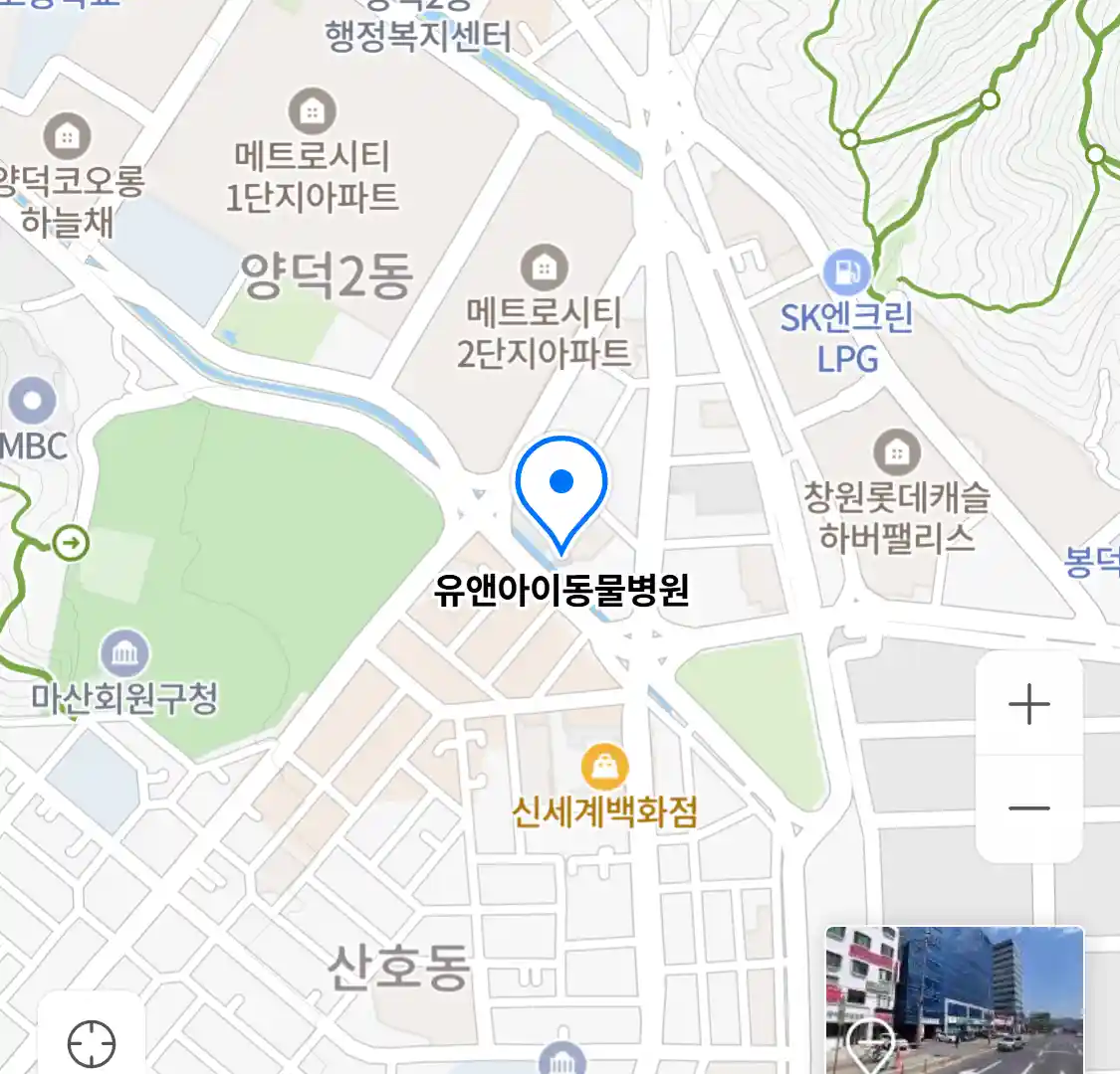 유앤아이동물병원