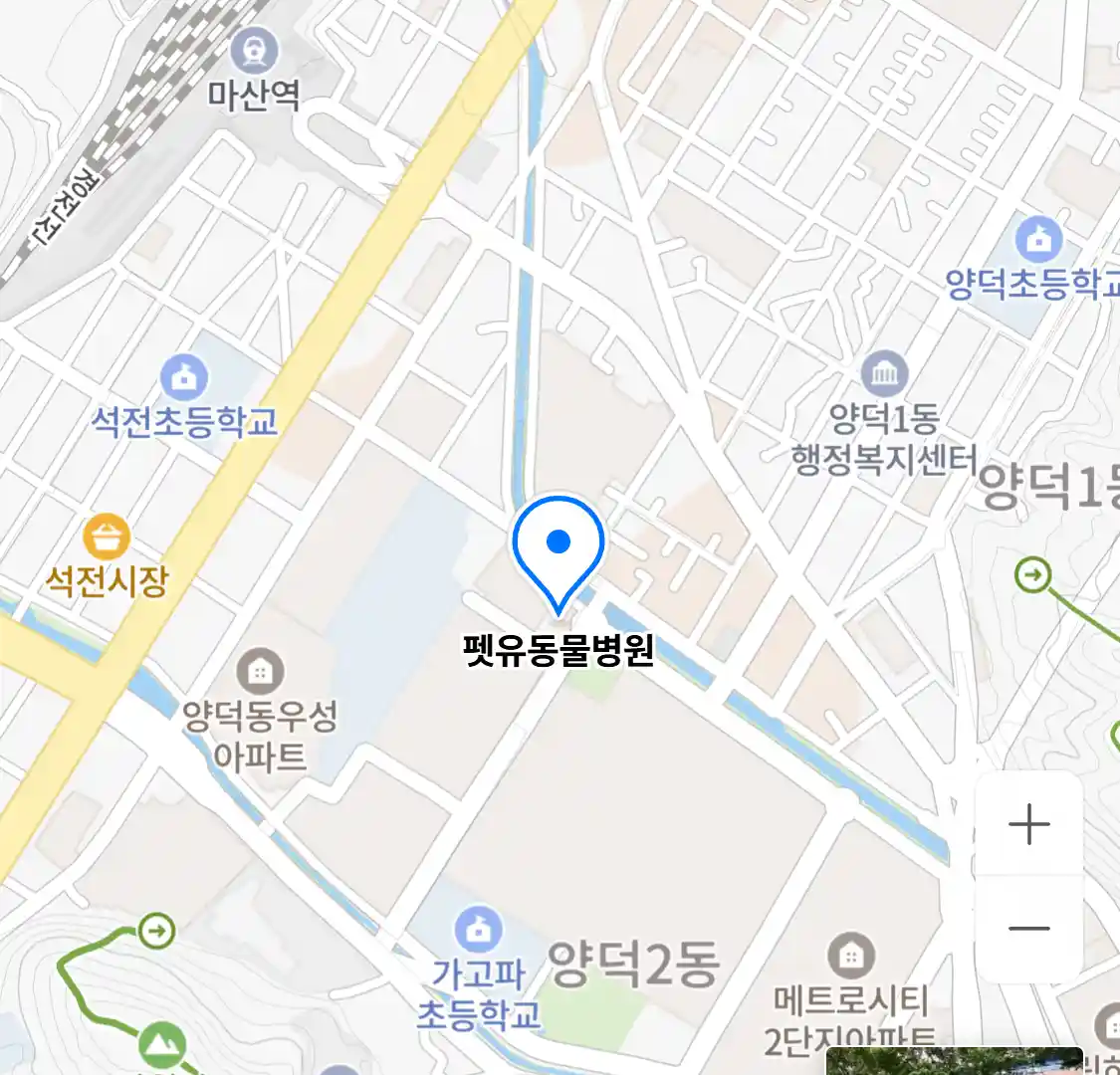 펫유동물병원
