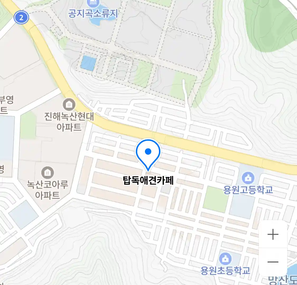 탑독애견카페