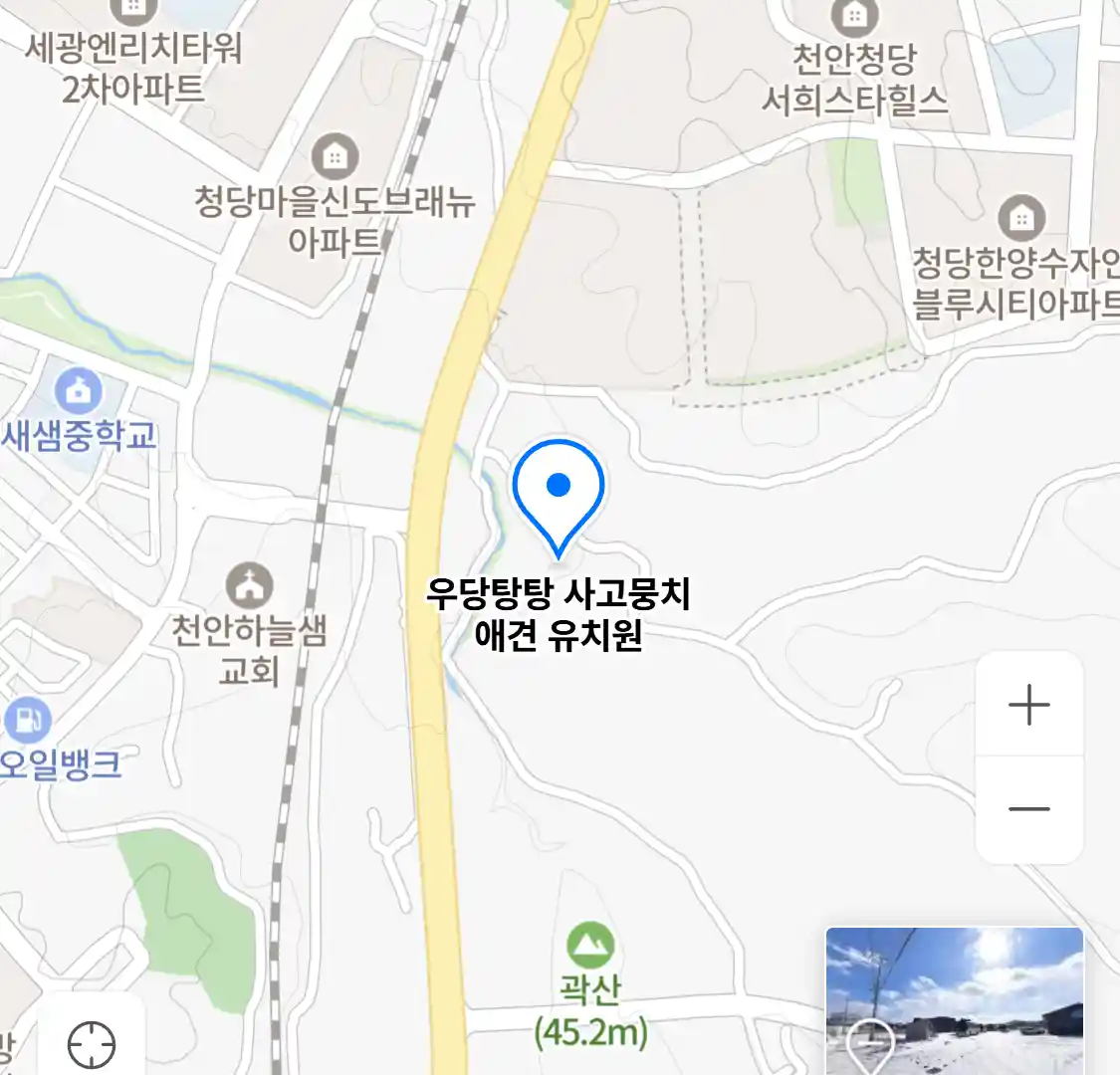 우당탕탕 사고뭉치 애견 유치원