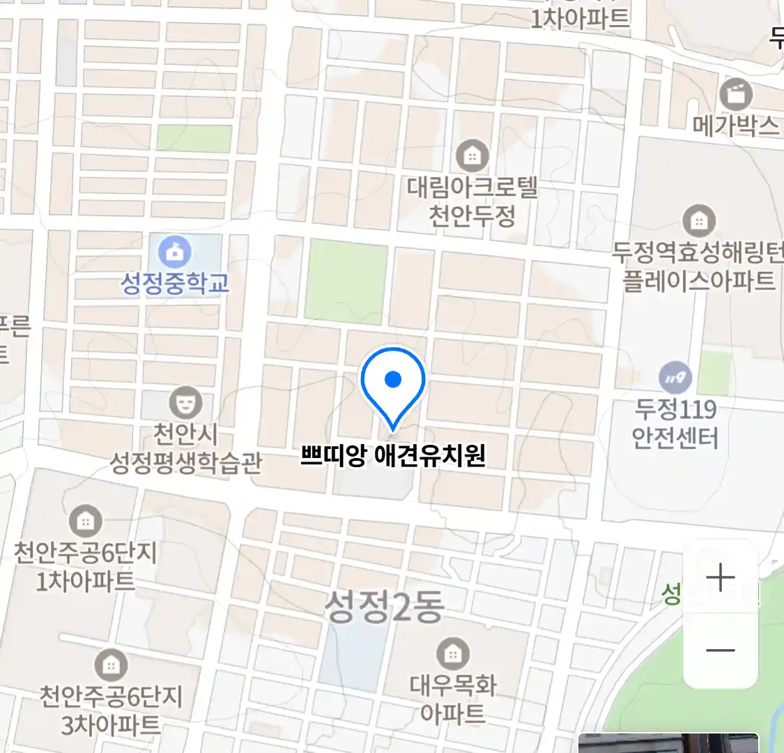 쁘띠앙 애견유치원