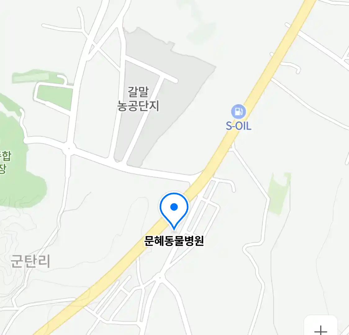 문혜동물병원