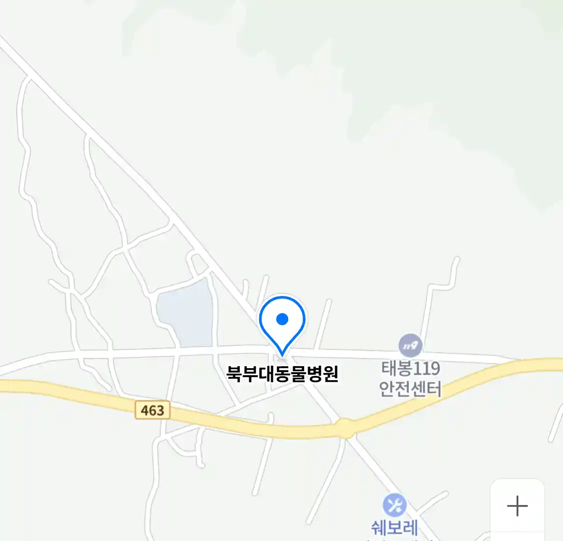 북부대동물병원