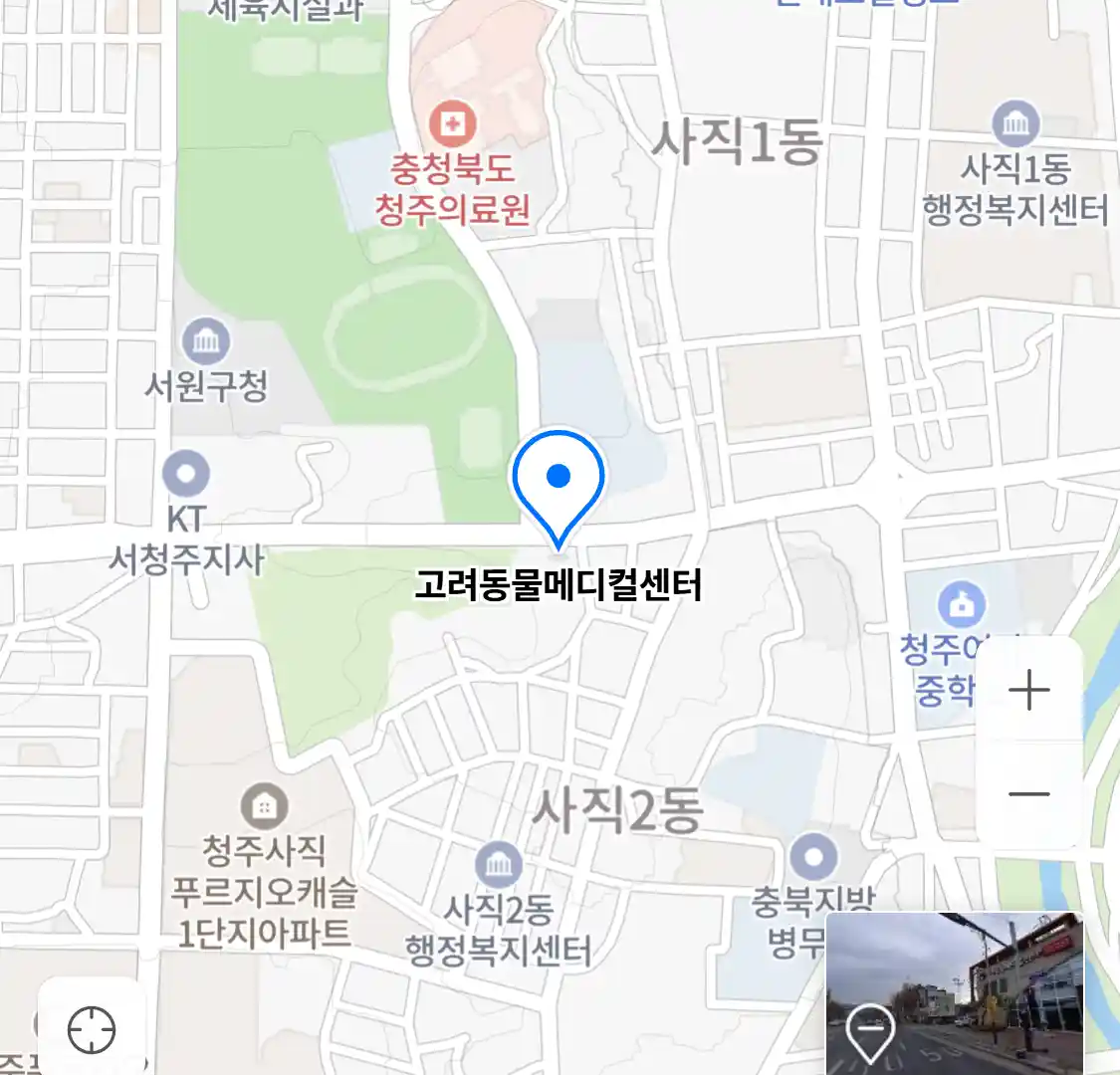 고려동물메디컬센터