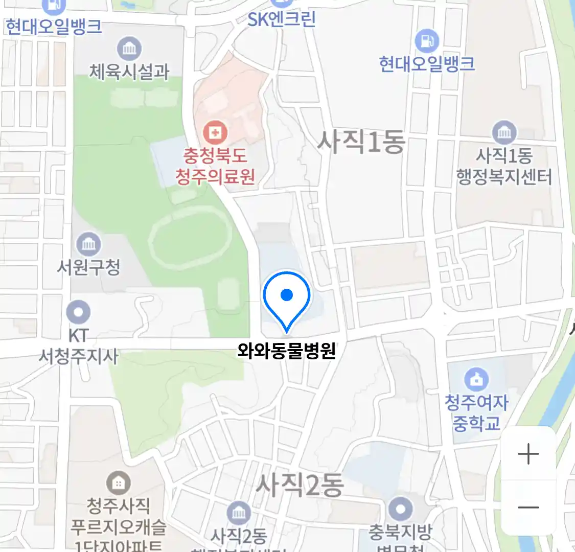 와와동물병원
