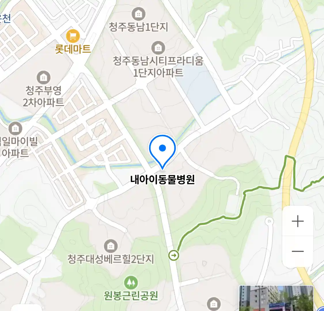 내아이동물병원