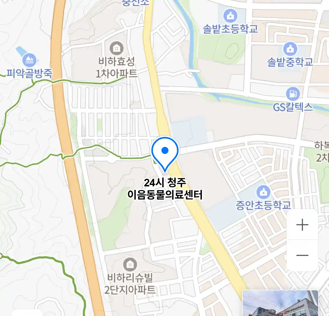 24시 청주 이음동물의료센터