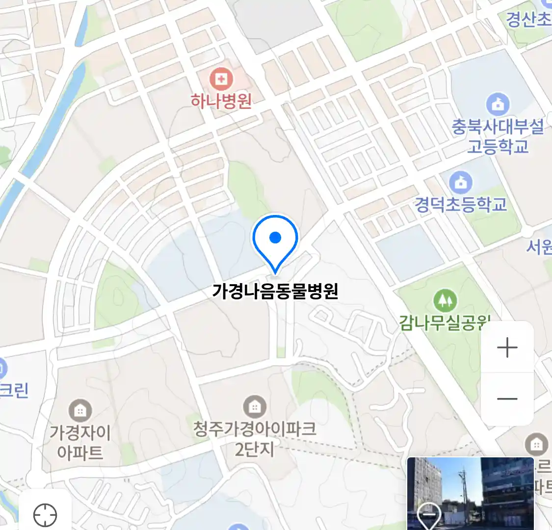 가경나음동물병원