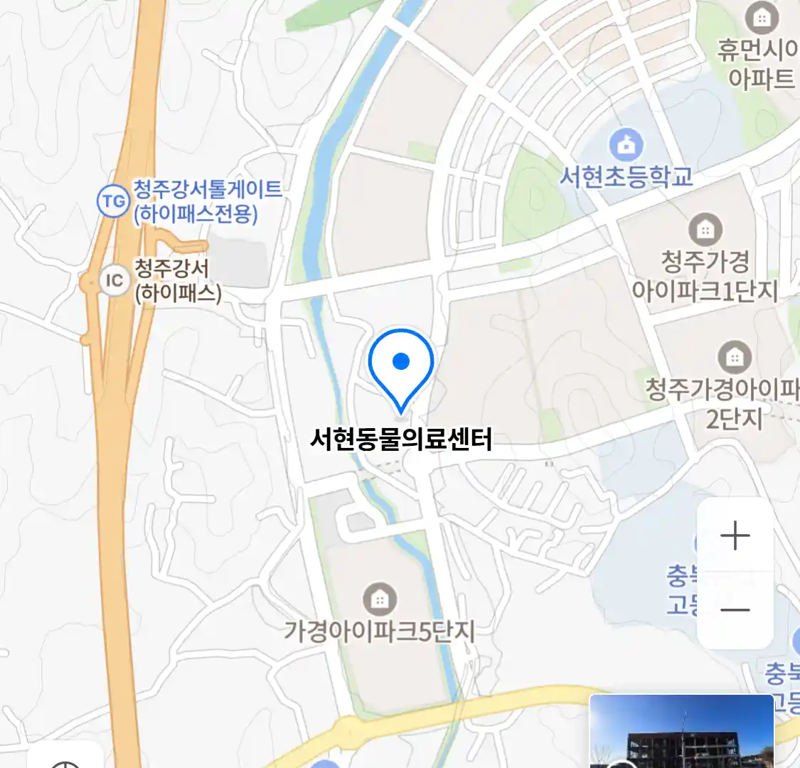 서현동물의료센터