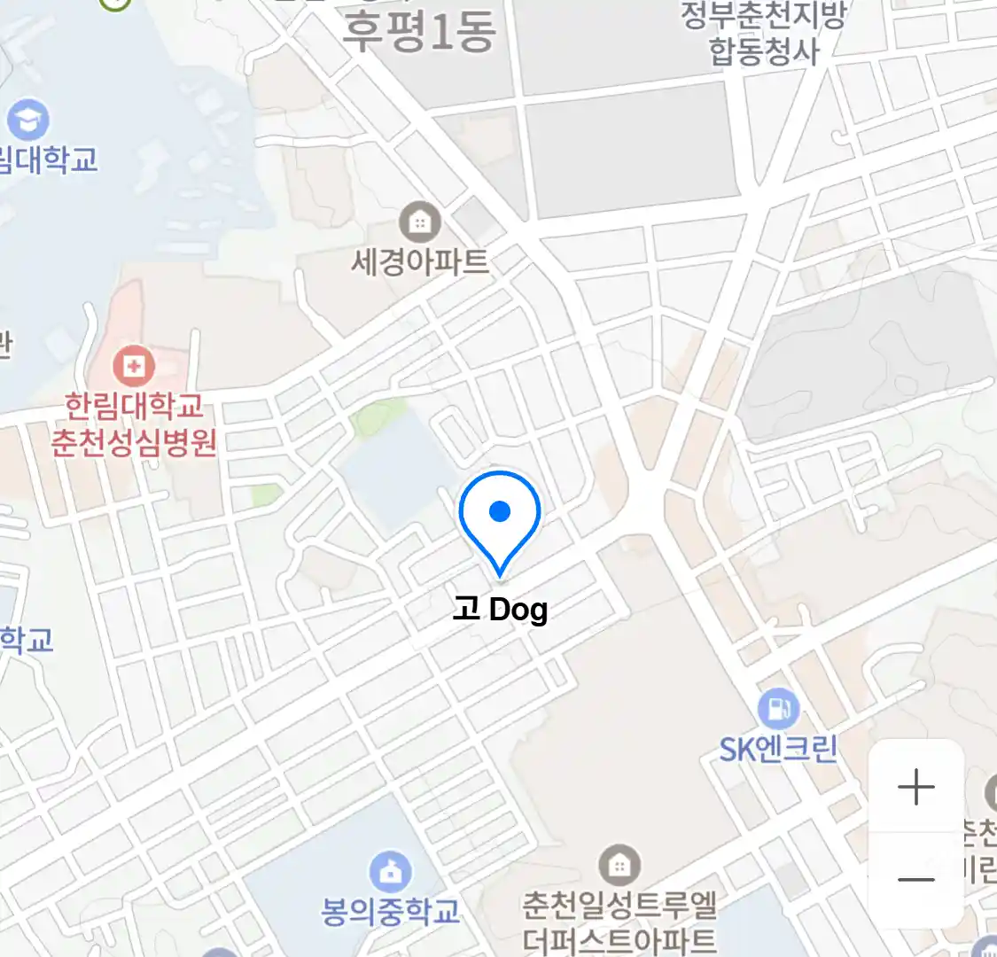 고 Dog