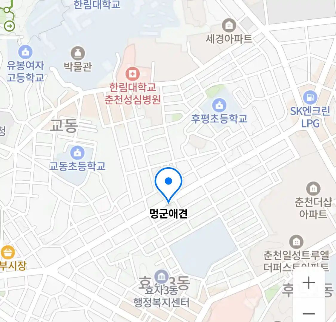 멍군애견