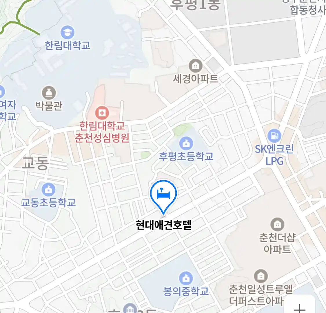 현대애견호텔