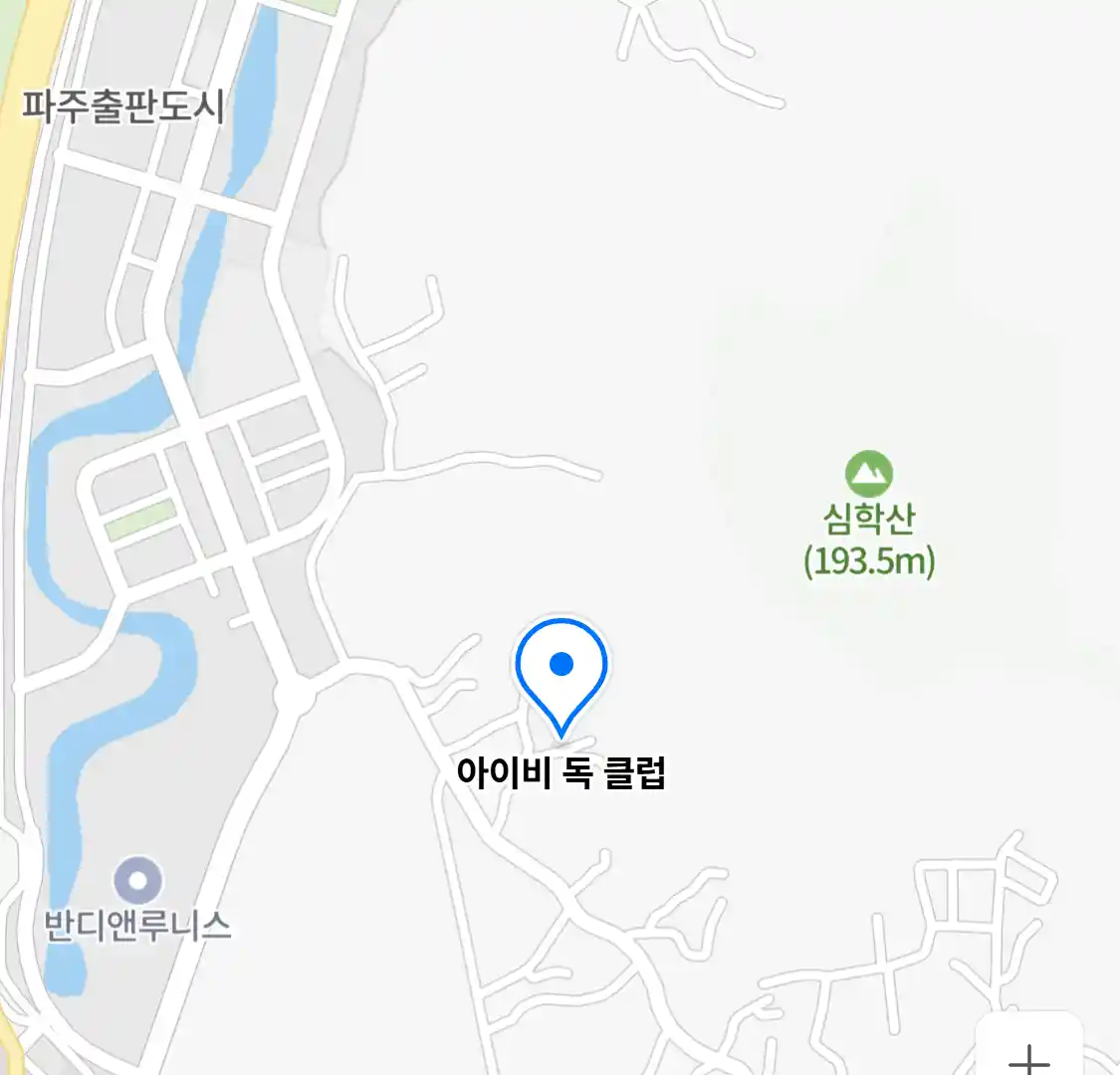 아이비 독 클럽