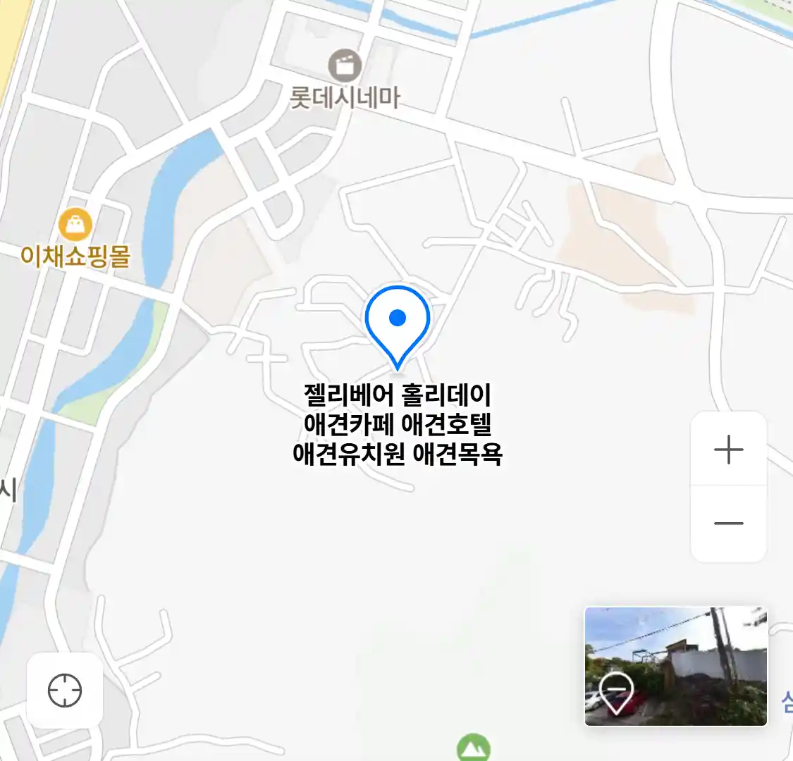 젤리베어 홀리데이 애견카페 애견호텔 애견유치원 애견목욕