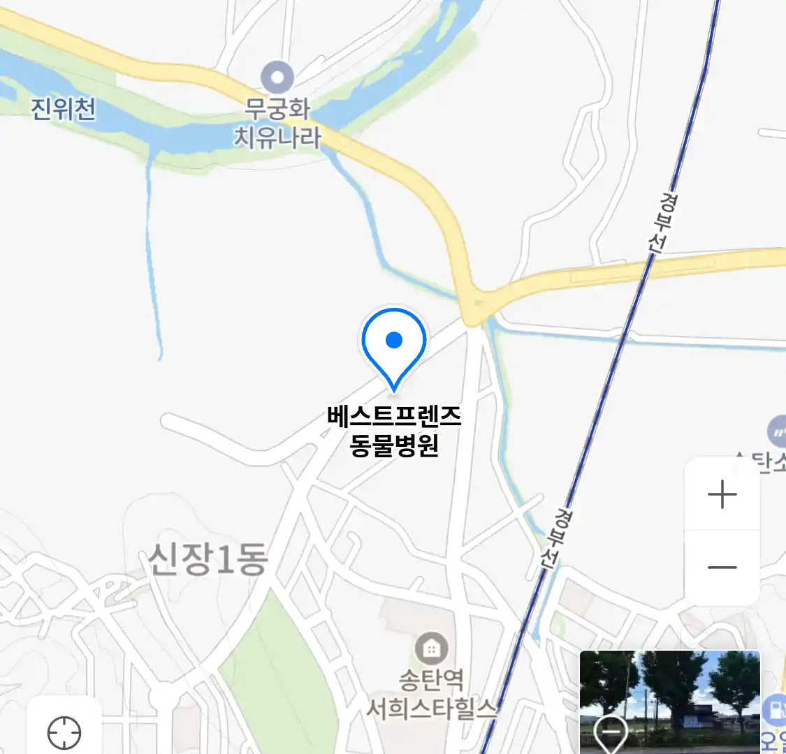 베스트프렌즈 동물병원