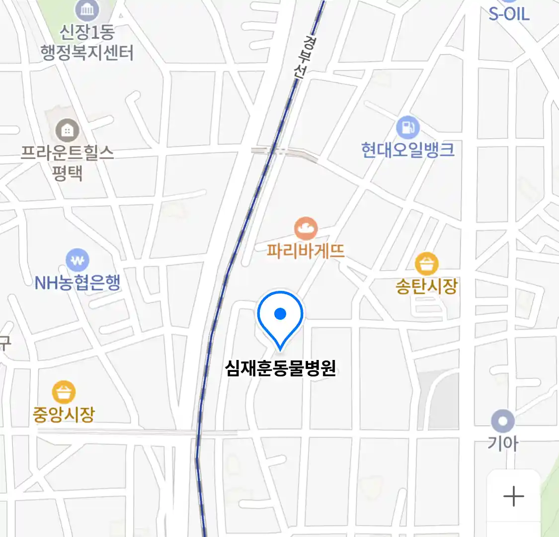 심재훈동물병원