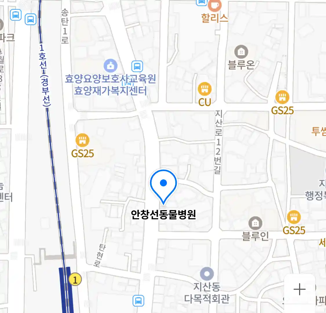 안창선동물병원