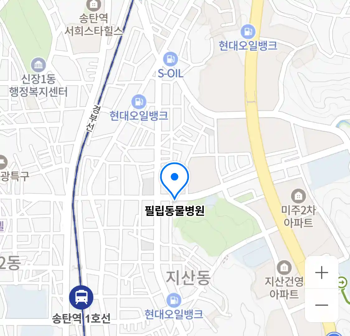 필립동물병원
